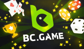 Understanding the Basics of BC O Crypto